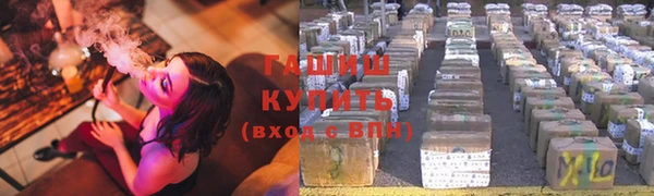 прущие грибы Заводоуковск