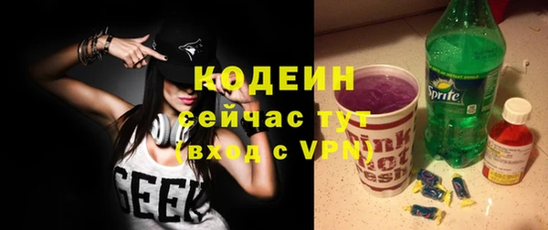 прущие грибы Заводоуковск