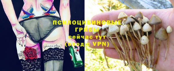 a pvp Заволжск