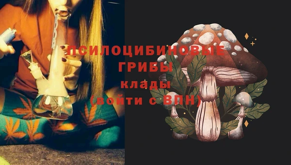 соль курить ск Заволжье
