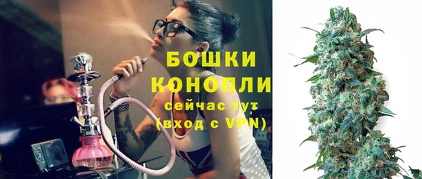 прущие грибы Заводоуковск